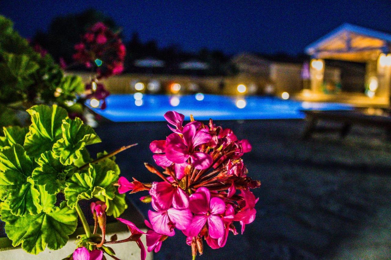 Astrakeroula Corfu Lägenhet Astrakeri Exteriör bild
