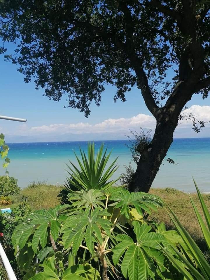 Astrakeroula Corfu Lägenhet Astrakeri Exteriör bild